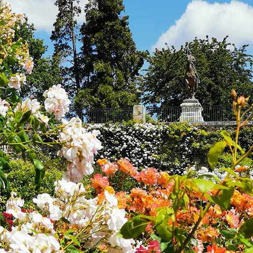 Generic placeholder image